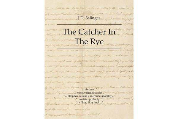 catcher cover